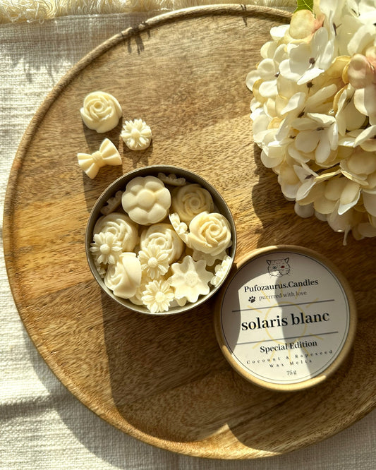 KraftBox Solaris Blanc