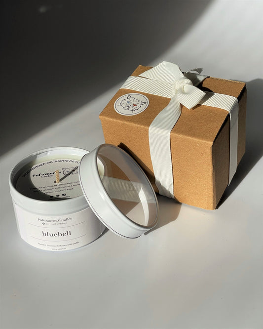 Lumanare Bluebell (Zambila) Mini Tin in cutie Kraft