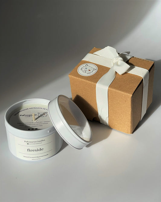 Lumanare Fireside Mini Tin in cutie Kraft